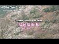 湯河原梅林 Yugawara Japanese Plum Forest (Shot on RED ONE)