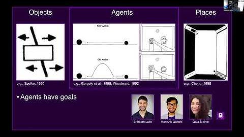 Moira Dillon: Cognitive Artificial Intelligence: Building better machines... and babies!