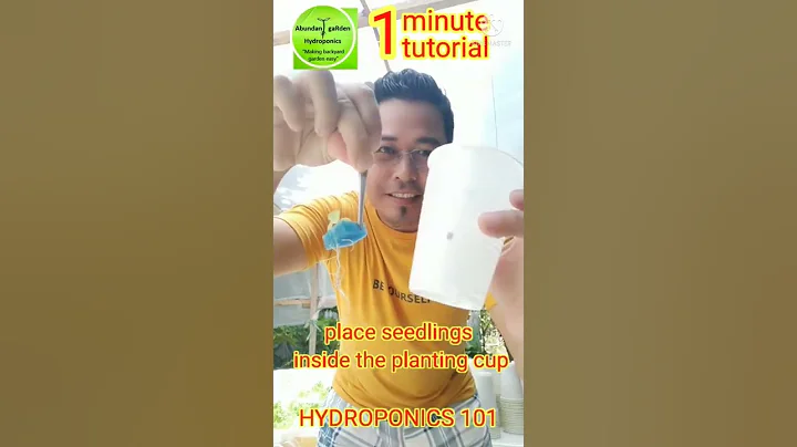 TRANSPLANTING LETTUCE SEEDLINGS II VEGETATIVE STAGE II 1 minute tutorial HYDROPONICS 101 II #shorts