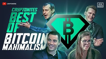 What is a Bitcoin Maximalist? Is Crypto Maximalism or Minimalism best? | Cryptonites