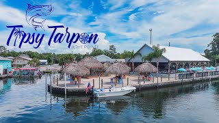 Tipsy Tarpon