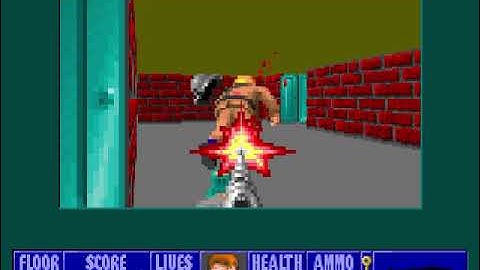 DOSBox 0 72, Cpu Cycles      3000, Frameskip  0, Program    WOLF3D 2022 05 02 11 02 53