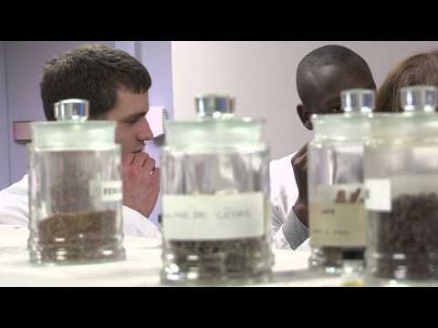 Vidéo: Un parfumeur a-t-il besoin d'un diplôme ?
