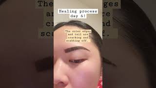 Healing process day 6! #ombrepowderbrows #healingprocess