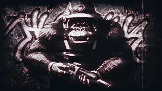 KinGKonG - Gorillas Drill