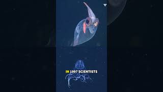 The sound that SCARED scientists. #shorts