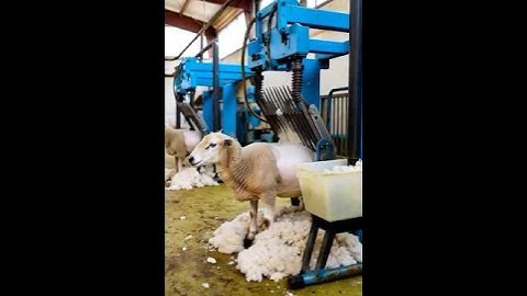 Shearing Machine Futuristic $$