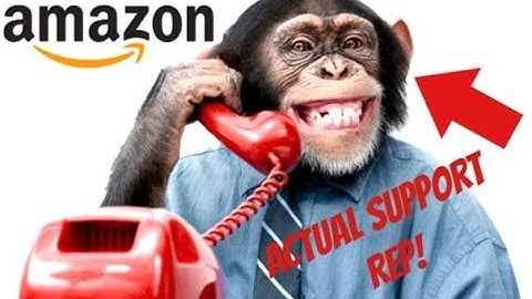 Amazon Seller Support Sucks! How to Escalate Problems
