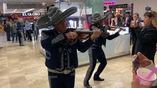 Mariachi Policía Federal 2