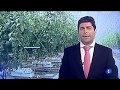 Los nuevos invernaderos de Looije en TVE (Televisión Española)