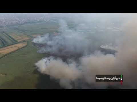 چهل هکتار از نیزارهای دریاچه زریبار و تالاب انزلی در آتش سوخت
