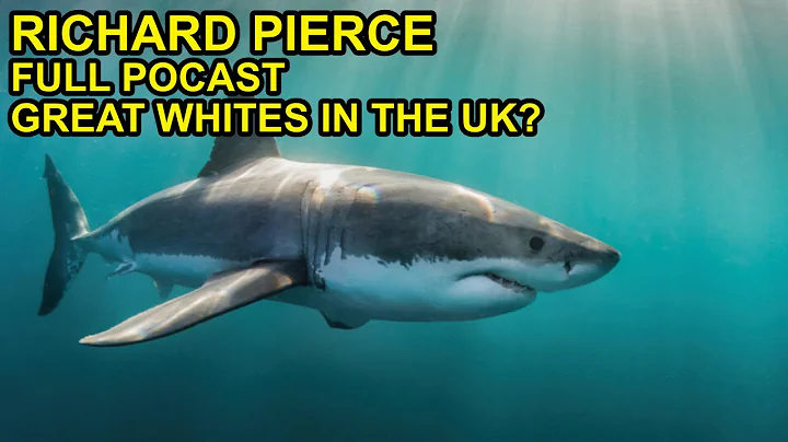 British Great White Sharks ft Richard Pierce FULL ...