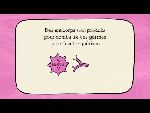 Comment fonctionnent les