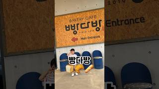 빵다방 #고양카페 #고양시카페 #덕양구맛집 #빵다방 #고양빵다방 #빵다방후기 #덕양구카페 #고양베이커리카페 #고양대형베이커리카페 #덕양구베이커리카페