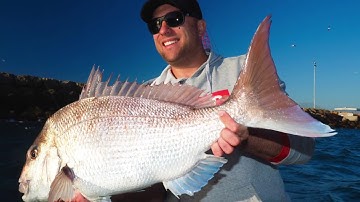Snapper Fishing With Simrad 3D Structurescan
