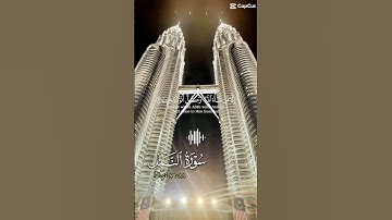 #قران_كريم #المصحف #fypシ゚viral #سورة_النمل #سوره