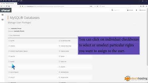 How to add a user to a database and add privileges with SharkHosting