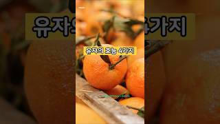 유자의 효능 #benefits #shorts