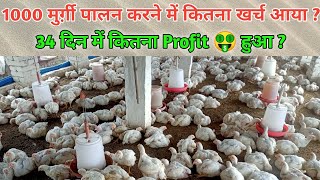 1000 Murgi Palan Karne Me Kitna Kharch Aaya ? 34 Din Me Kitna Profit Hua ? Poultry Farming Profit ?