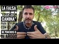 La falsa "educación canina" para tu perro con collar de pinchos o de ahogo. ¿Bueno o malo?