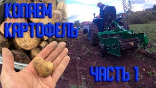 видео: Однорядная транспортёрная картофелекопалка в деле. Часть 1. картинка: Однорядная транспортёрная картофелекопалка в деле. Часть 1.