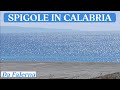 SPIGOLE IN CALABRIA Pesca sub - Tecniche di pesca subacquea