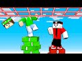 LA PAROLA PIÙ CORTA VINCE su MINECRAFT!