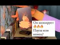 ОН ШОКИРУЕТ🔥ПАУЗА ИЛИ КОНЕЦ?