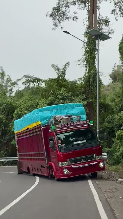 pelan tapi pasti #truksulawesi #automobile https://vt.tiktok.com/ZSBxjYuF1/ #trukoleng #supirtruk