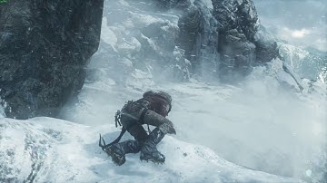Rise of the Tomb Raider (GPU related?)Graphic Artifacts