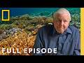 Ocean with David Attenborough (Full Documentary) | World Ocean Day Special | National Geographic