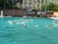 Water Polo Kishinev Водное Поло Кишинёв Дельфин   Навигатор