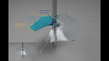 [Siggraph2020] Codimensional Surface Tension Flow using Moving-Least-Squares Particles