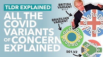 COVID Variants Explained: Are They More Deadly? Do Vaccines Work? They Spread Faster?  - TLDR News