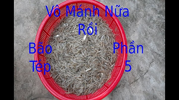 CNMT#29 Thăm dớn ngày mưa bão và cái kết | Visit and rainy day results | Cửa Ngõ Miền Tây