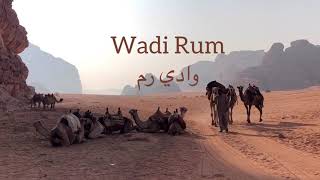 Activities in Wadi Rum Desert must try in a day trip