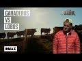 Wild Frank y la eterna disputa entre ganaderos y lobos | Wild Frank