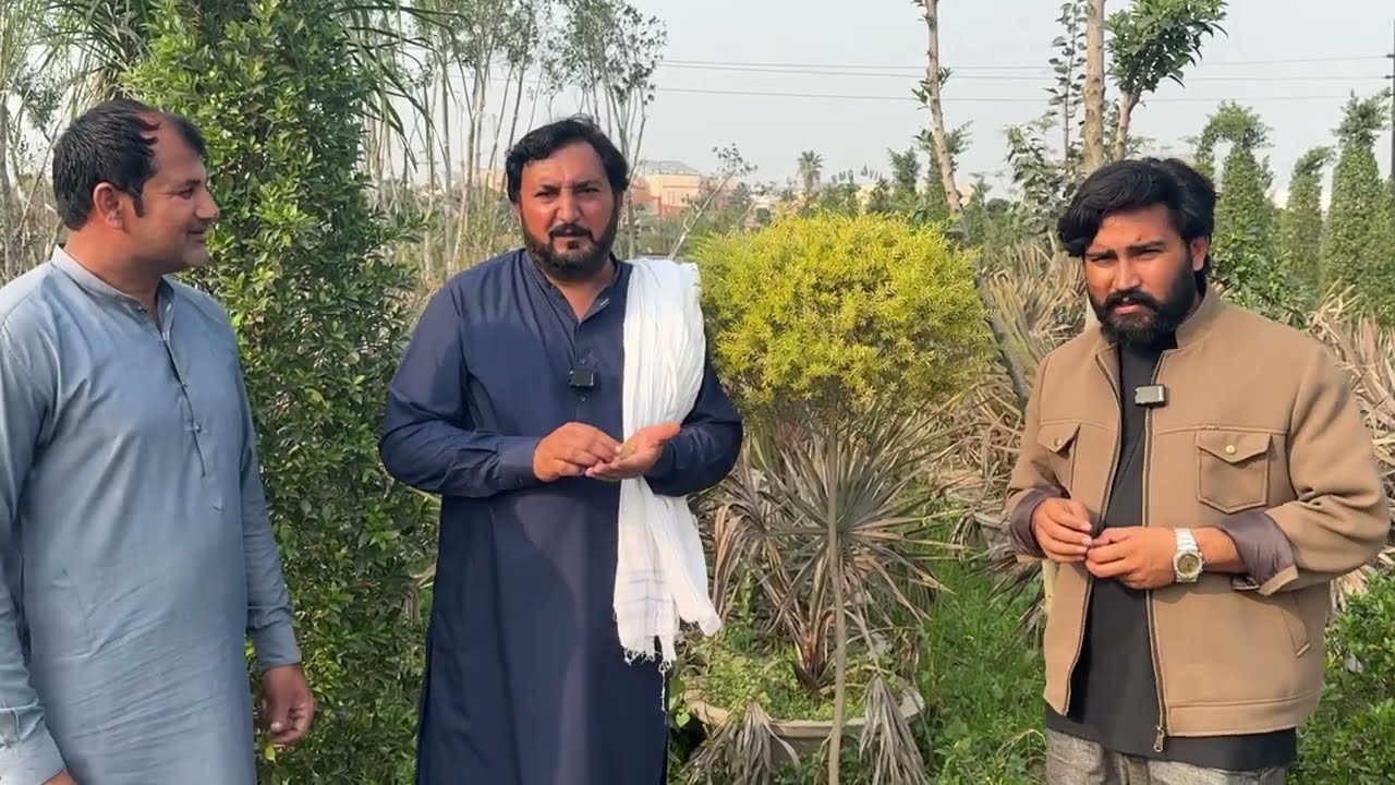 Pattoki Nursery market da visit | Dessi Kiker, Shareen simbol de darakht | Bugan bail | Anjum Saroya