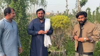 Download Lagu Pattoki Nursery market da visit | Dessi Kiker, Shareen simbol de darakht | Bugan bail | Anjum Saroya MP3