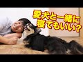 愛犬と一緒に寝てもいい？？寝る時だけケージを寝室に持って行ったらしたらどうなる？？