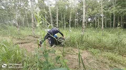 Máy cắt cỏ trục băm đường cắt 8 tấc động cơ dầu 13hp