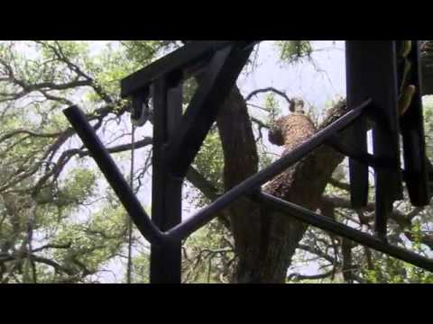 HME HITCH HOIST