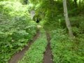 森の中のトンネル いま 会いにゆきます 森の中のトンネル いま 会いにゆきます