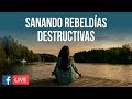 Sanando rebeldías destructivas - Sesión de reconexión - Facebook Live - Ricardo Perret