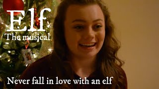 Never Fall in Love with an Elf- cover