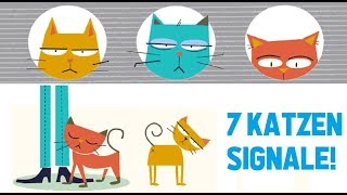 7 Katzen Signale und was sie bedeuten! | Katzen Tipps by KittyKitty 2,594 views 5 years ago 6 minutes, 53 seconds
