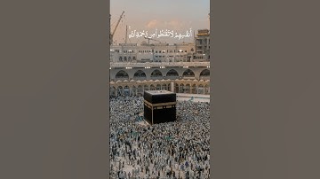 #آيات #آيات_قرآنيه #القرآن_الكريم #يارب #القرآن #الله #foryou #quran #fyp