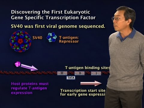 Vidéo: Les Mutations De Décalage De Trame à L'extrémité C-terminale De HIST1H1E Entraînent Une Signature Spécifique D'hypométhylation De L'ADN