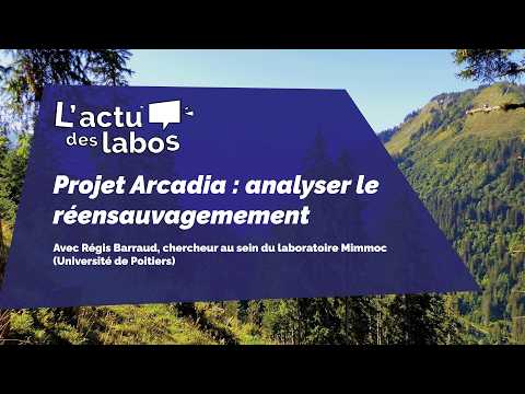 [LAB NEWS] Arcadia: Analyzing Rewilding in Europe