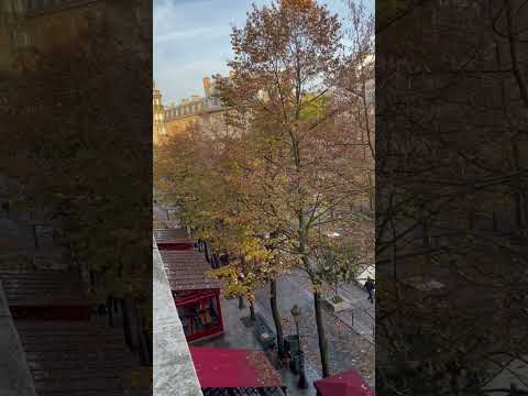 Bonjour Paris💫                             Place de la Sorbonne. Octobre 2022.